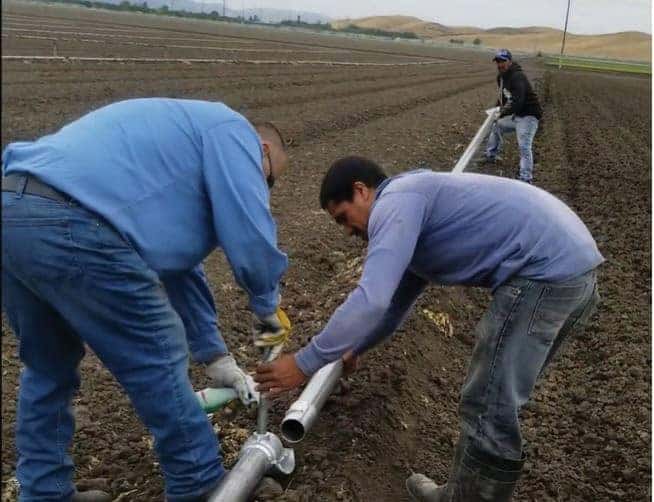 Workers laying pipe on farm land